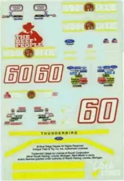 Blue Ridge #60 Winn Dixie Thunderbird-Mark Martin Nascar decal
