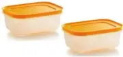 Freezing Containers 450ml Pack of 2 Pieces Free Shipping