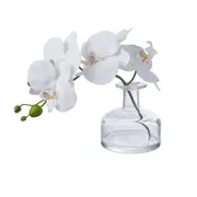 Rogue Artificial Orchid Flower in Glass Vase Phalaenopsis Potted Plant White