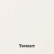 Ottosson Fargmakeri - MATTE Swedish Linseed Oil Paint - Tuvstarr