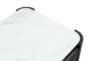 LINUS Entertainment Unit
