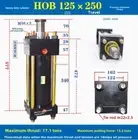 QTY:1 NEW HOB 125*250 hydraulic cylinder