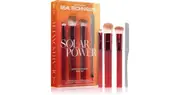 Solar Power Golden Hour Glow starter set Real Techniques