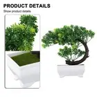 ORNAMENT Plant Pot PLANT ARTIFICIAL BONSAI DECOR FAKE POTTED FLOWER HOME Kit