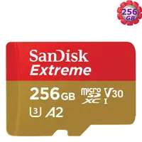 在飛比找樂天市場購物網優惠-SanDisk 256GB 256G microSD【190