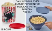 TUPPERWARE PREMIUM WOW POP MICROWAVE POPCORN MAKER + CANISTER "TASTE DELICIOUS"