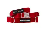 Winston Manner Designer Dog Collar in Racy Red