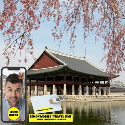 Korea Travel Prepaid SIM Card Premium Unlimited Data 4G Network Overseas Roaming