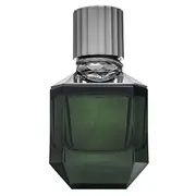 Roberto Cavalli Paradise Found Eau De Toilette Men 50 ml