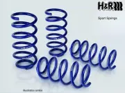 H&R Coil Spring Lowering Kit for Renault Clio RS Cup - 2010-on 29103-2