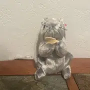 TY Beanie Baby - Cheddar - The Mouse - With Cheese And With Tags