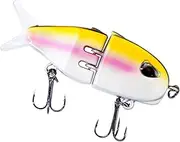 brooksnaji Fishing jig lesses, Freshwater fishing lures, Realistic Saltwater Swimbait, Portable Fishing Speed Lesses for Trout, Freshwater Saltwater, Fish Stove