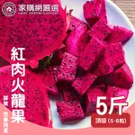 家購網嚴選 屏東紅肉火龍果5斤X2盒 特大(約5-6顆/盒)