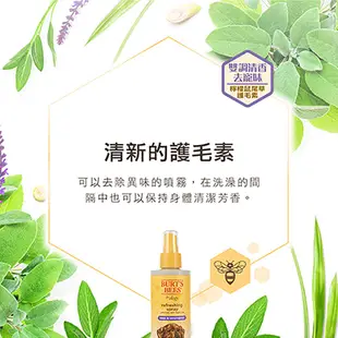 【Burt's Bees 小蜜蜂爺爺】花果蜜芳檸檬鼠尾草 寵物護毛素 8oz - 官方旗艦店