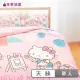 【享夢城堡】天絲卡通三件式床包兩用被套組(單人床包雙人兩用被-HELLO KITTY 風景繪-粉)