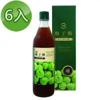 在飛比找誠品線上優惠-【台糖】梅子醋600ml(6瓶/組)