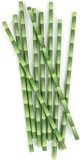 [Kikkerland] Biodegradable Paper Straws, Bamboo, Box of 144