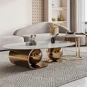 Modern Oval Marble Coffee Table Set of 2 Stainless Steel Luxury Center Table Sturdy Minimalist Home Furniture for Living Room 130CM