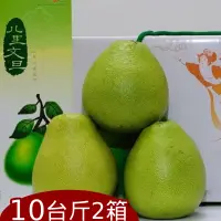 在飛比找台灣好農優惠-八里農會-日光水岸 品牌文旦(10斤) 2箱