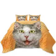 Happy and Joyful Grey Kitten over Orange Coverlet