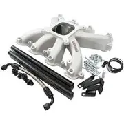 Aeroflow GM LS Carby Intake Manifold Rectangle Port EFI LS3 Natural Aeroflow - AF6050-6000