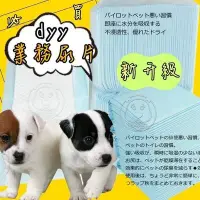 在飛比找Yahoo!奇摩拍賣優惠-【🐱🐶培菓寵物48H出貨🐰🐹】dyy業務用經濟包抗菌 加厚型