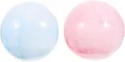 Small Yoga Ball 2 Pack Exercise Ball for Yoga Pilates Physical Therapy for Gym Home Use