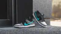 在飛比找Yahoo!奇摩拍賣優惠-2020 NIKE SB DUNK LOW PRO ATMO