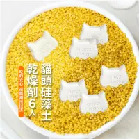 在飛比找momo購物網優惠-【乾燥王】天然硅藻土乾燥劑-6入(環保 可重複使用 食材 乾