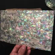5Pcs Natural Abalone Shell Laminate Sheets for Wood Carved Inlay DIY Home Decor