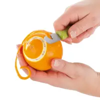 在飛比找momo購物網優惠-【TESCOMA】Carving檸檬刨絲器 粗孔(檸檬刨刀 