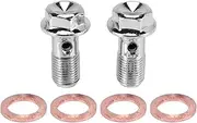 Daiilg 2X Motorcycle Stainless Brake Banjo Bolt M10 x 1.0mm Caliper Master Cylinder