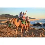 Save 5.00%! 2x1 Tour: Cabo San Lucas Arch + Camels Ride + Pick up!