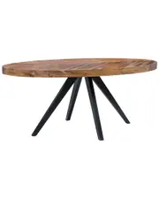 Moe's Home Collection Parq Oval Dining Table