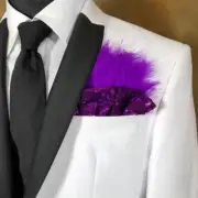 NEW - Men's Sequin & Feather Pleated Pocket Square Insert - More Colors