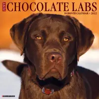 在飛比找博客來優惠-Just Chocolate Labs 2022 Wall 