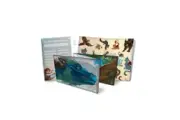 Magical Kitties Save the Day Kitty Noir RPG - Game Master Kit