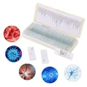 60 Pieces Prepared Microscope Slide Set with Specimens, Plant Animal Cell 60pcs