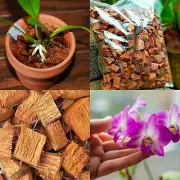 Coconut Husk dry chips Organic 100% natural Fiber Orchids Anthurium Growing 2kg