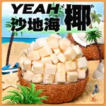 【食味齋】椰子脆塊 1KG 海南特産 烤椰子塊 椰子脆片 新鮮椰子乾 椰子肉  香脆椰子脆塊 椰子幹 休閒零食