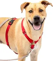 PetSafe Sure-Fit Harness – Five Point Adjustable Dog Harness – from The Makers of The Easy Walk Harness – Large, Red