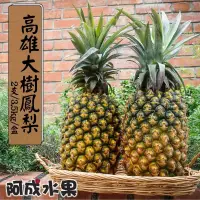 在飛比找博客來優惠-【阿成水果】高雄大樹鳳梨(2支/3.5kg/盒)