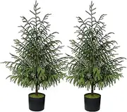 FOTEEWL 3FT Real Touch Norfolk Pine Topiary Trees for Front Porch Decor - Artificial Shrubs Faux Plants Fake Potted for Outdoor Indoor Door Offices Farmhouse Home Decor (Set of 2)