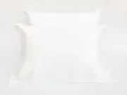 100% Premium Mulberry Silk Pillowcase 2 X OFF WHITE 22 Momme Zip RRP $80 Pair