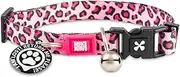 Max & Molly Cat & Kitten Collar with Bell & Breakaway Safety Buckle, Fun Style for Girl or Boy Cats & Kittens, Waterpoof, Comfortable, Adjustable, Includes Gotcha QR Code Pet ID
