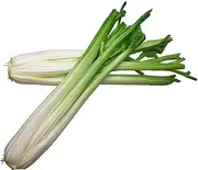 Artificial Celery, Artificial Vegetables, Green Fake Vegetables for Decoration, Home Decor Market Display Kids Toy Kitchen Decoration Celery Stick 2Pcs