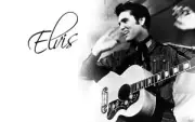 ELVIS PRESLEY Rock Music Singer Band, Sticker Or Magnet, 12 x 9cm, Free Aus Post