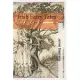 Irish Fairy Tales