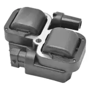 External Ignition Coil 2876049 4010425 for RZR 800 900 1000 XP EFI 2005-2020 black