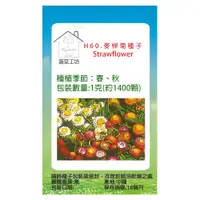 在飛比找PChome24h購物優惠-【蔬菜工坊】H60.麥桿菊種子(瑞士巨人)